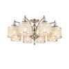 Люстра потолочная ST Luce Coresia SL1750.102.08