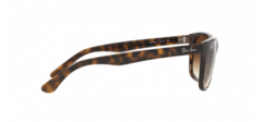 Ray-Ban RB4181 710/51