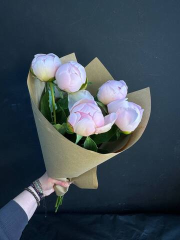 Пионы розовые нежные 5 шт