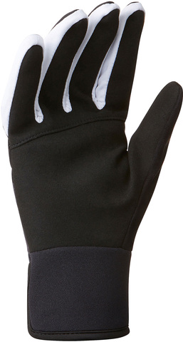 Картинка перчатки лыжные Bjorn Daehlie Glove Classic 2.0 Black - 2