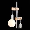 Торшер Evoluce Bagetti SL1142.505.01