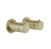 Gessi 63331#727 INGRANAGGIO Внешние части для термостатического смесителя на 1 позицию Brass Brushed PVD