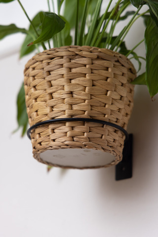 Подставка 1-я Настенная Круг большой D 15,5 см