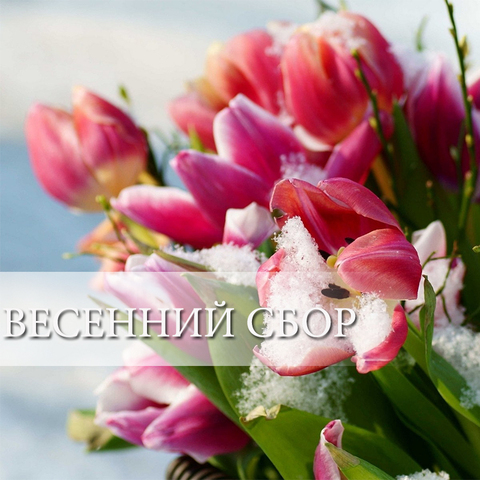 Весенний сбор вязаных вещей (завершен)