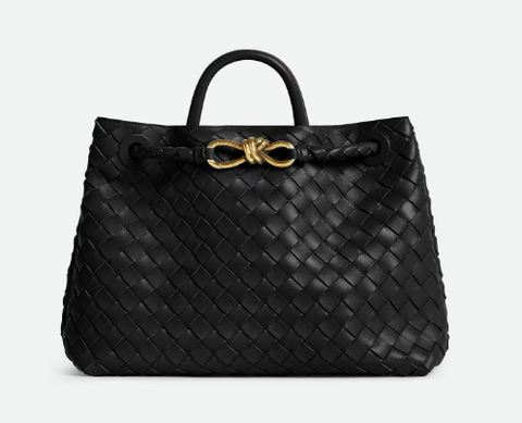 Сумка Bottega Veneta Medium Andiamo черный