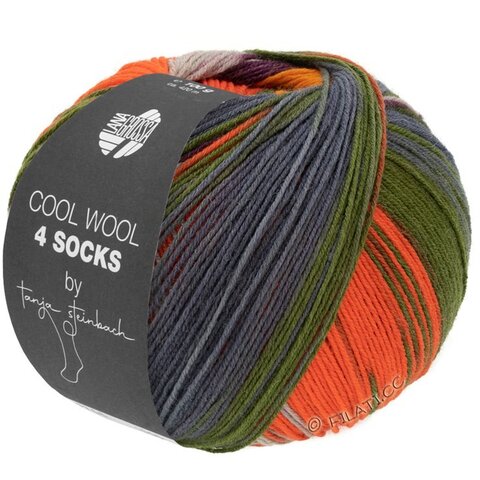 Lana Grossa Cool Wool Print 4 Socks 7796