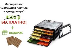 Дегидратор (сушилка) Excalibur Standart 5B