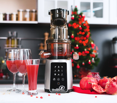 Соковыжималка RAWMID Dream Juicer Modern JDM-80