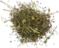 Якорцы стелющиеся (трава)