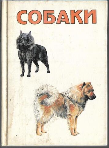 Собаки