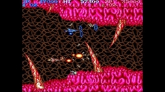 Arcade Classics Anniversary Collection (для ПК, цифровой код доступа)