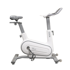 Велотренажер Orlauf Oden