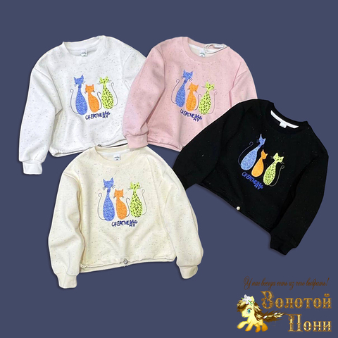 Свитшот хлопок д (7-12) 250824-G6160