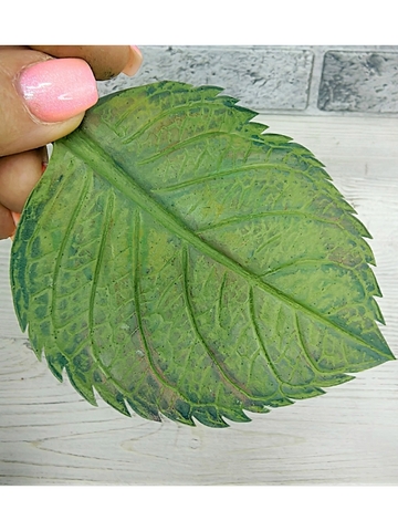 Молд лист универсальный 11,5х8,7см