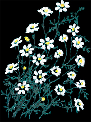 Ромашка. Платье льняное макси с вышивкой ромашки PL-422572