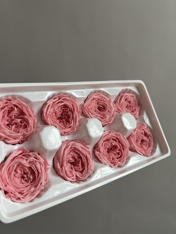 Роза пионовидная ярко-розовая d=4-5 см (упак 8 шт)