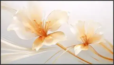 Экран на раме Xgimi 127.6x224.5см 100