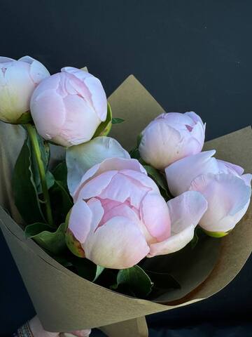 Пионы розовые нежные 5 шт