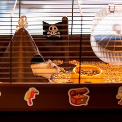 Ferplast клетка CRICETI 9 PIRATES для хомяков