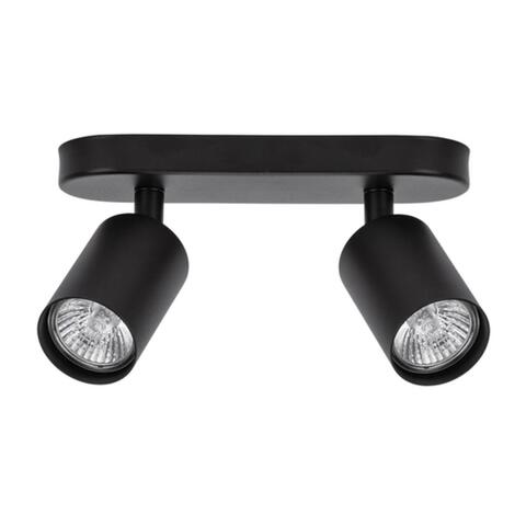 Настенно-потолочный светильник Arte Lamp AQUARIUS A3226PL-2BK