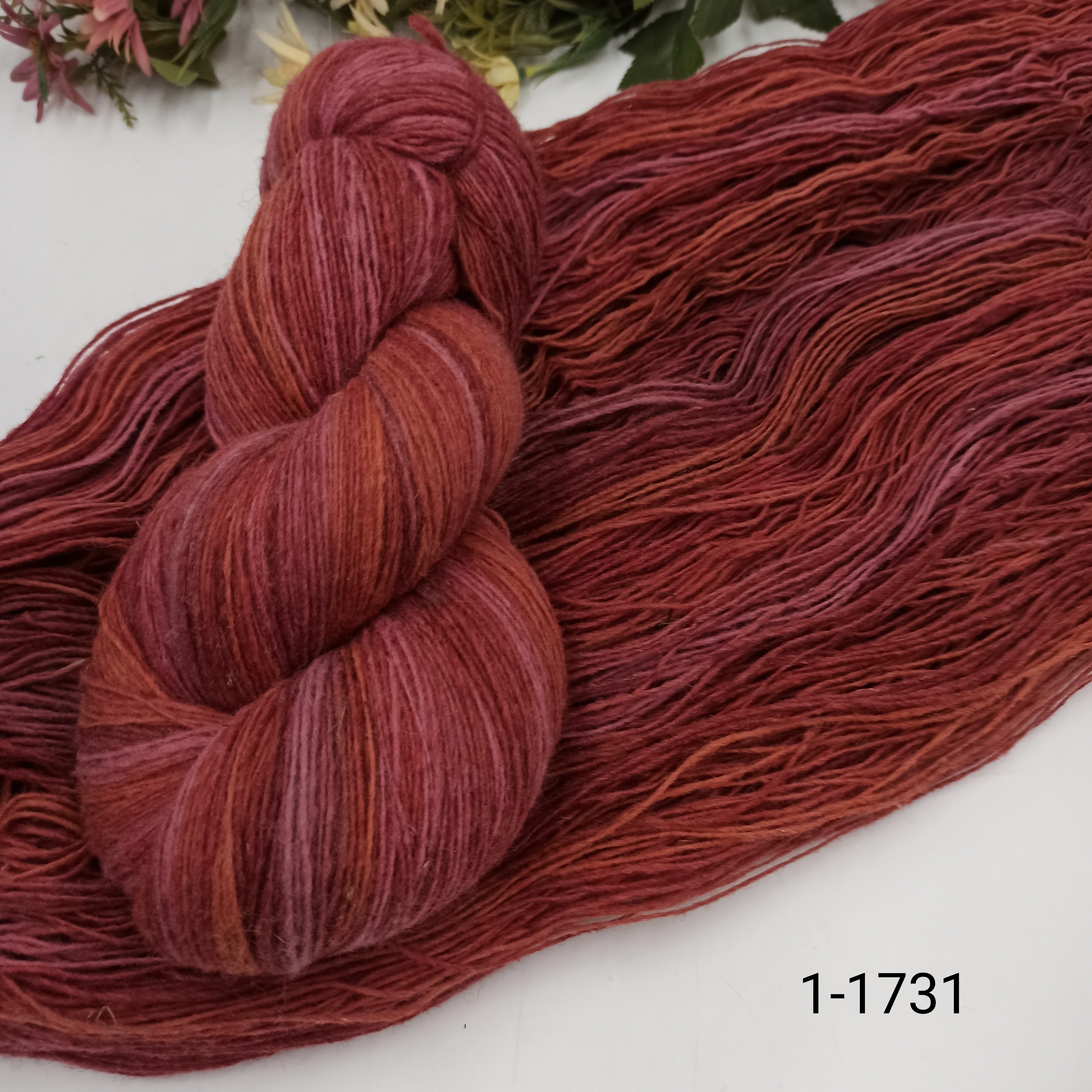 Дундага 6/1 шерсть секционного окрашивания 01-1731 420м/100гр