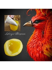 Вайнер клюв жар-птицы 