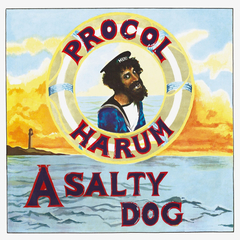 Procol Harum / A Salty Dog (LP)