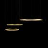 Подвесной светильник Loft It Ring 10017/3S