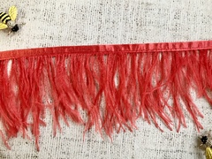 Кант с пером страуса, ш. 9 см, красный