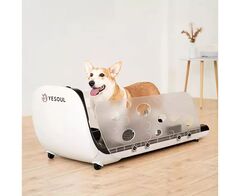 Беговая дорожка Yesoul T-Q1