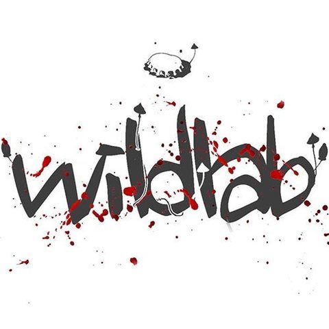 Пиво Wild Lab Strata Lights