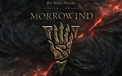 The Elder Scrolls Online: Standard Edition (для ПК, цифровой код доступа)
