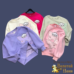 Свитшот начес д (5-9) 251023-GN580