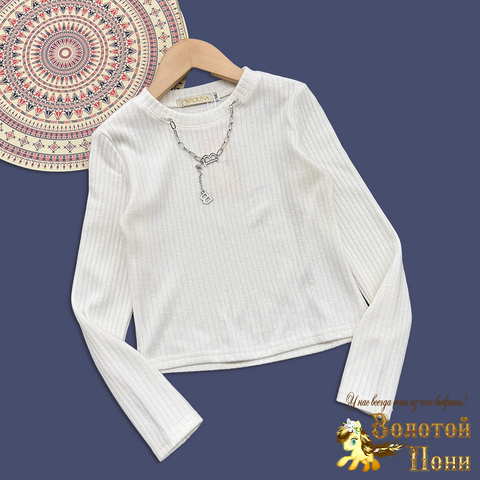 Джемпер трикотаж д (7-11) 251030-F1098