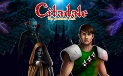 Citadale - The Accursed Seal (для ПК, цифровой код доступа)