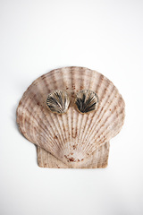 Серьги Ekonika х Lavarice