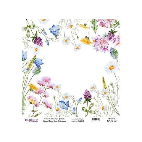 рисовая карта cadence 30*30см UC-096-30
