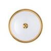 Потолочный светильник Odeon Light Marsei 4824/3C