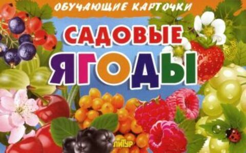 ЛИТУР ОбучКарточ Садовые ягоды