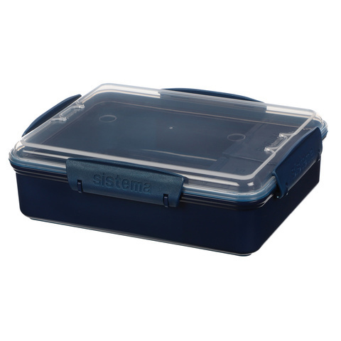 Контейнер с разделителями 975мл Sistema Renew синий