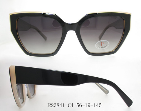 R23841