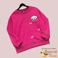 Свитшот начес д (5-9) 251023-GN580