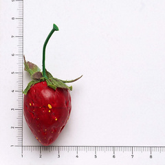 Декор/Декоративные элементы/земляника