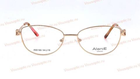 Оправа очков Alanie A90189 Алания