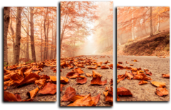 Модульная картина "Осенние листья"