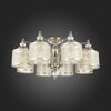 Люстра потолочная ST Luce Coresia SL1750.102.08