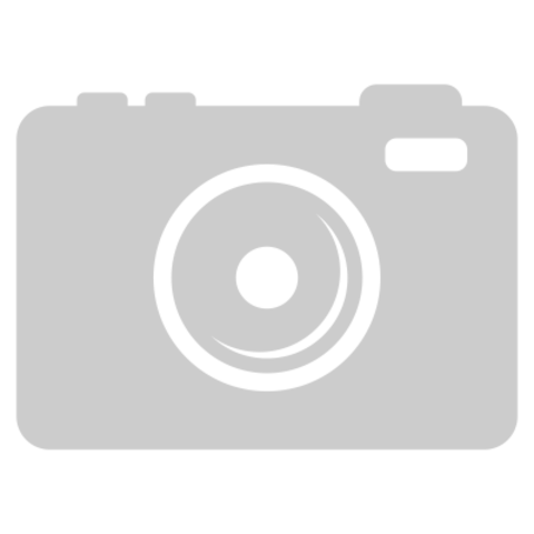 Настольная лампа Odeon Light Palle 5405/1T