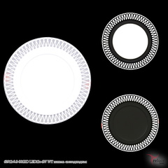 63912-9.0-001RD LED12+4W WT панель светодиодная