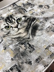 Кулирка Котик купон 78см 180г/м ш180см компакт Пенье