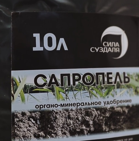 Сапропель 10л. Сила СУздаля